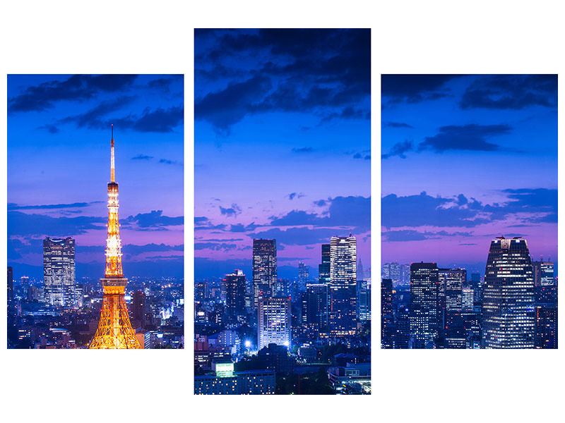 canvas-print-tokyo-night-view