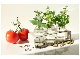 5-piece-canvas-print-tomatoes-and-herbs