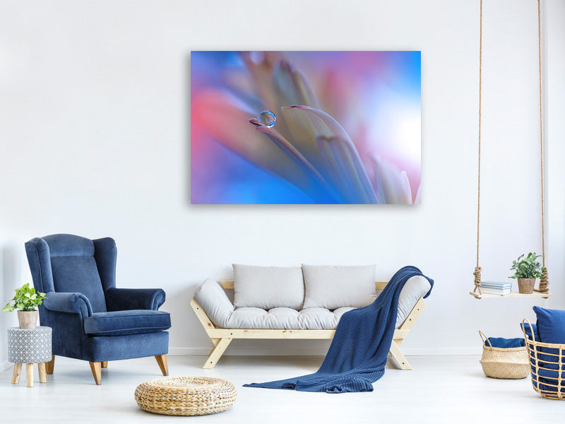 panoramic-canvas-print-touch-me-softly