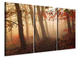 panoramic-3-piece-canvas-print-towards-the-light