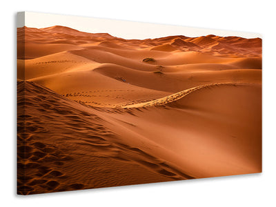 5-piece-canvas-print-traces-in-the-desert