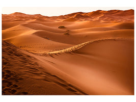 5-piece-canvas-print-traces-in-the-desert