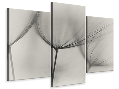 3-piece-canvas-print-tragopogon