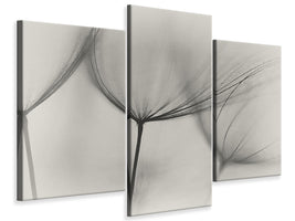 4-piece-canvas-print-tragopogon