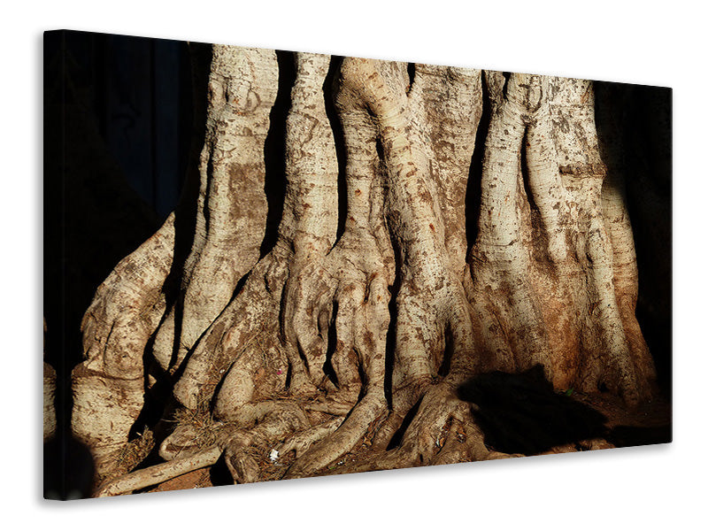 3-piece-canvas-print-tree-close-up