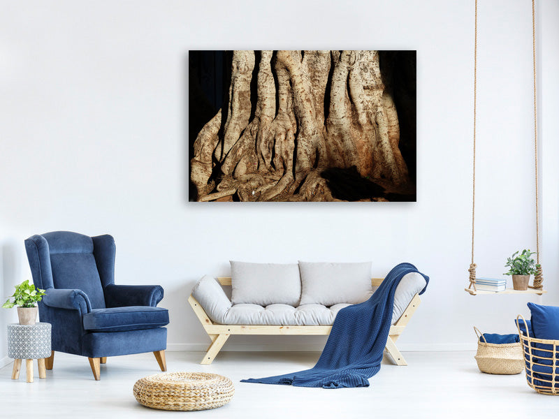 3-piece-canvas-print-tree-close-up