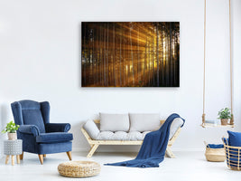 3-piece-canvas-print-trees-in-sunbeams