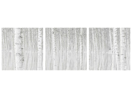 5-piece-canvas-print-trees