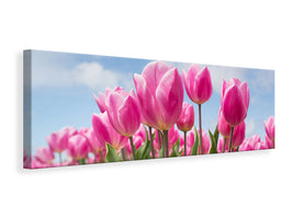 canvas-print-tulip-field-in-pink