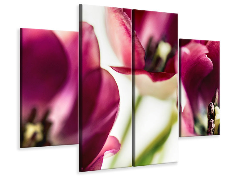 modern-4-piece-canvas-print-tulip-iv