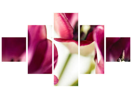 panoramic-canvas-print-tulip-iv