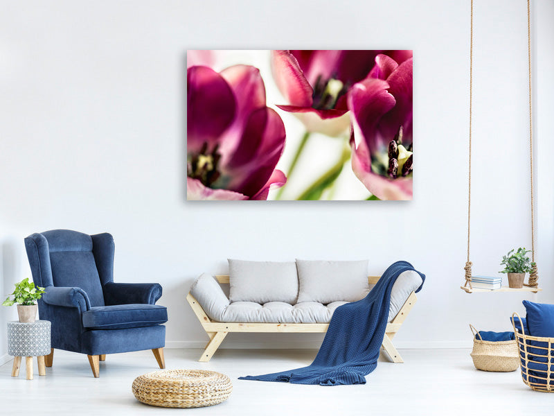 4-piece-canvas-print-tulip-iv