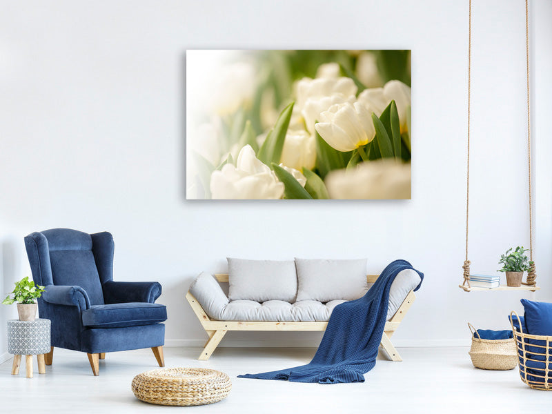 4-piece-canvas-print-tulips-perspective
