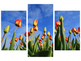 panoramic-canvas-print-tulips-tower-to-the-sky