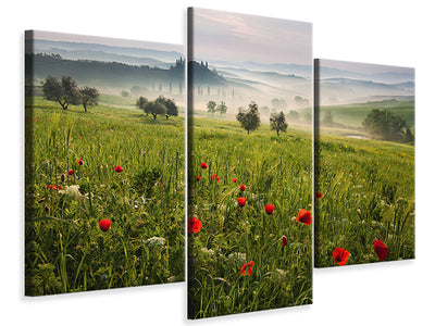 5-piece-canvas-print-tuscan-spring