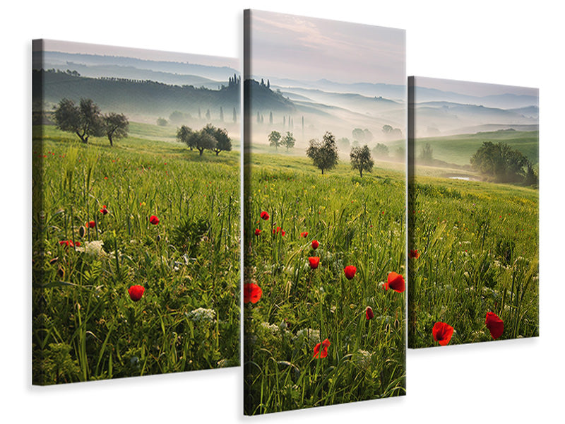 4-piece-canvas-print-tuscan-spring