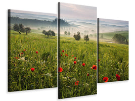 modern-4-piece-canvas-print-tuscan-spring