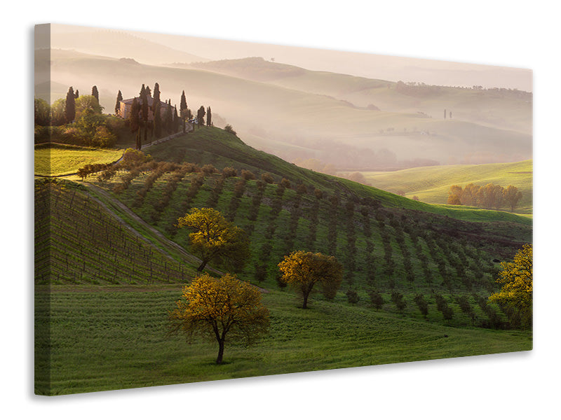 3-piece-canvas-print-tutte-le-strade-portano-a-belvedere