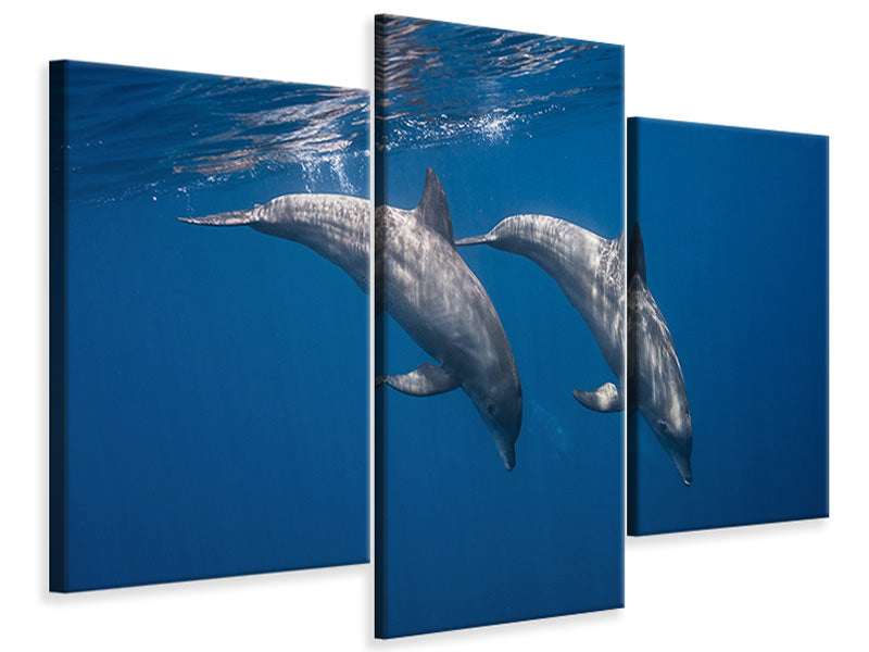 3-piece-canvas-print-two-bottlenose-dolphins