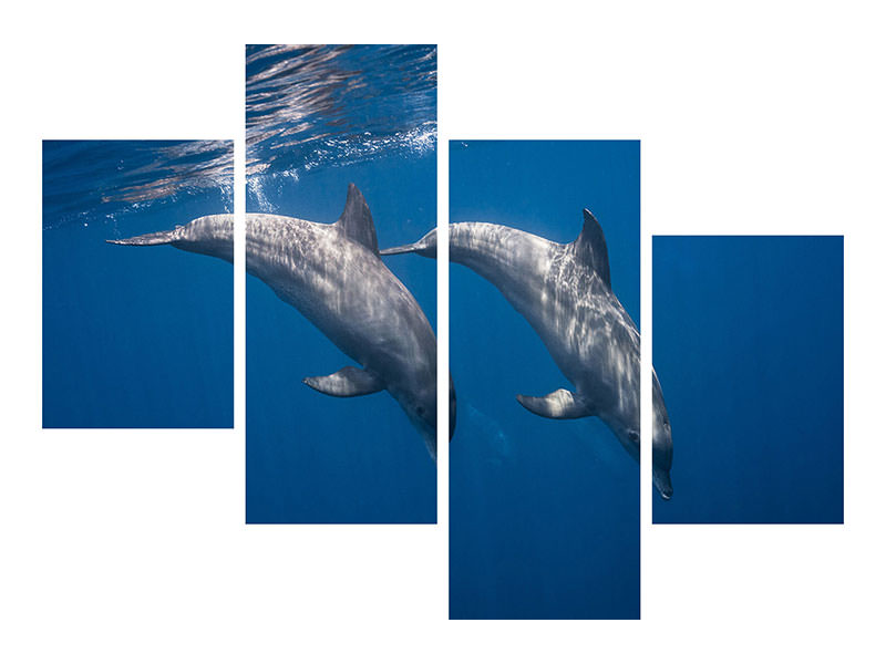 canvas-print-two-bottlenose-dolphins