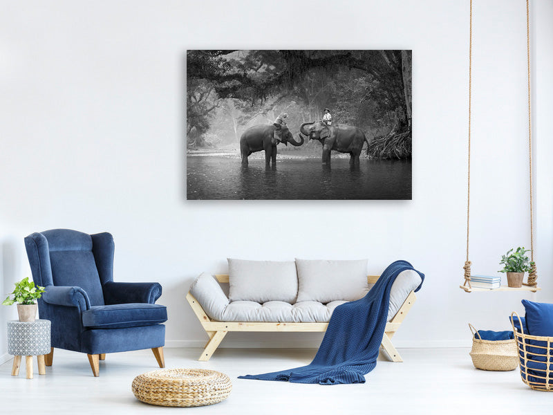 4-piece-canvas-print-two-elephants