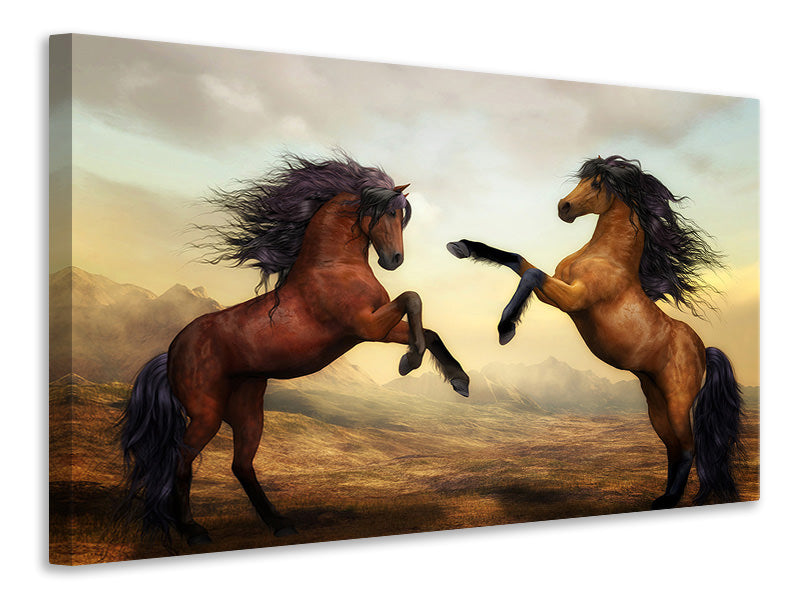 3-piece-canvas-print-two-wild-horses