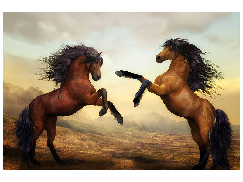 3-piece-canvas-print-two-wild-horses