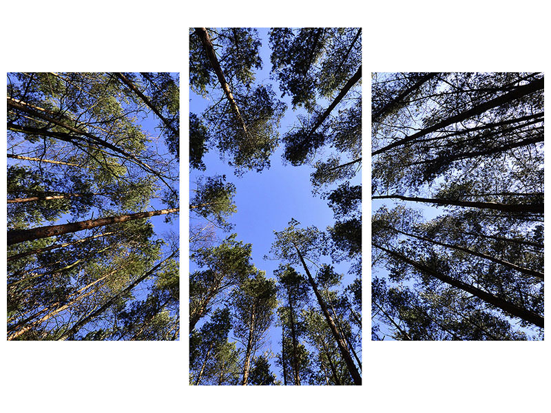 modern-4-piece-canvas-print-under-high-treetops