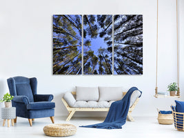 modern-4-piece-canvas-print-under-high-treetops