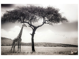 4-piece-canvas-print-under-the-african-sun