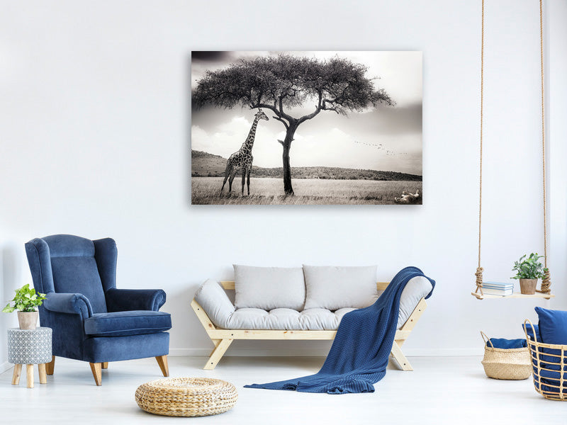modern-4-piece-canvas-print-under-the-african-sun