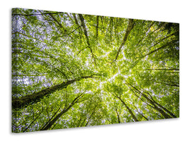 3-piece-canvas-print-under-the-treetops