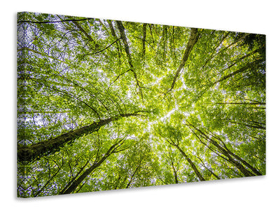3-piece-canvas-print-under-the-treetops