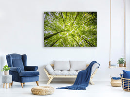 4-piece-canvas-print-under-the-treetops