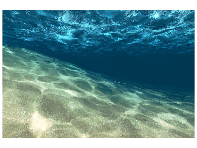 4-piece-canvas-print-under-the-water