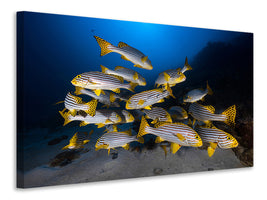 modern-4-piece-canvas-print-fish-in-the-dance-of-the-waves