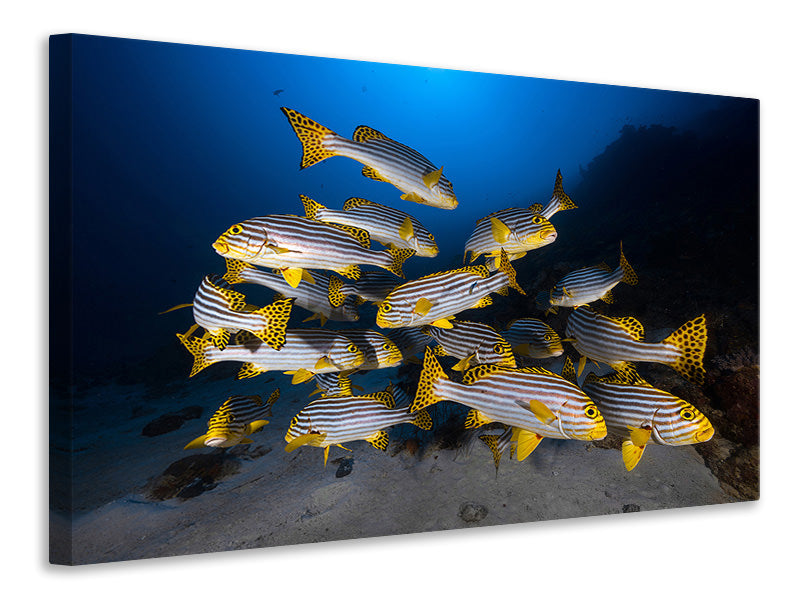 modern-4-piece-canvas-print-fish-in-the-dance-of-the-waves