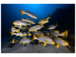 3-piece-canvas-print-fish-in-the-dance-of-the-waves