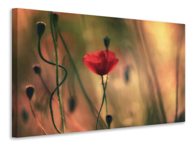 3-piece-canvas-print-untitled-xxviii