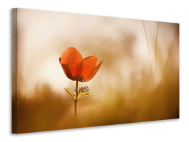 modern-4-piece-canvas-print-untitled-xxxi