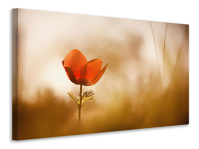 modern-4-piece-canvas-print-untitled-xxxi