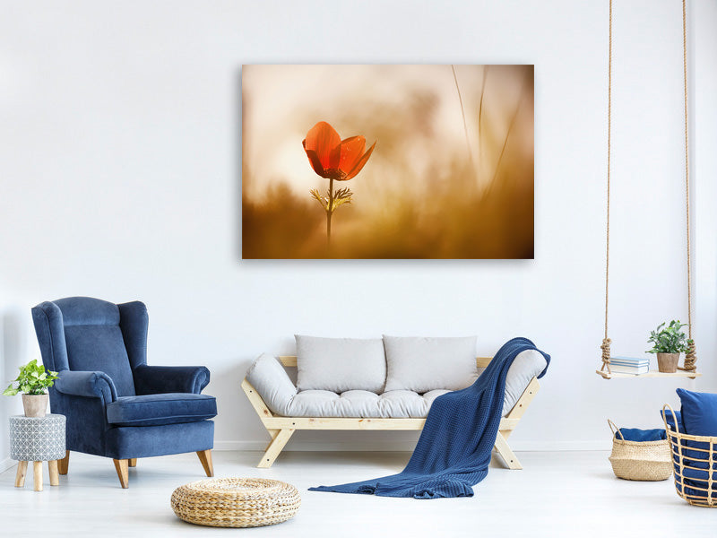panoramic-3-piece-canvas-print-untitled-xxxi