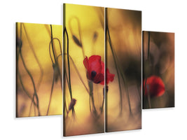 3-piece-canvas-print-untitled-xvi-p