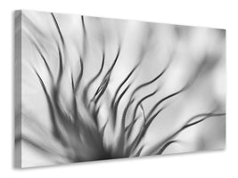 4-piece-canvas-print-untitled-xvii-p