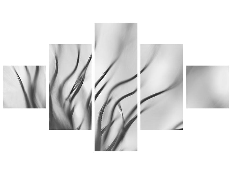 canvas-print-untitled-xvii-p