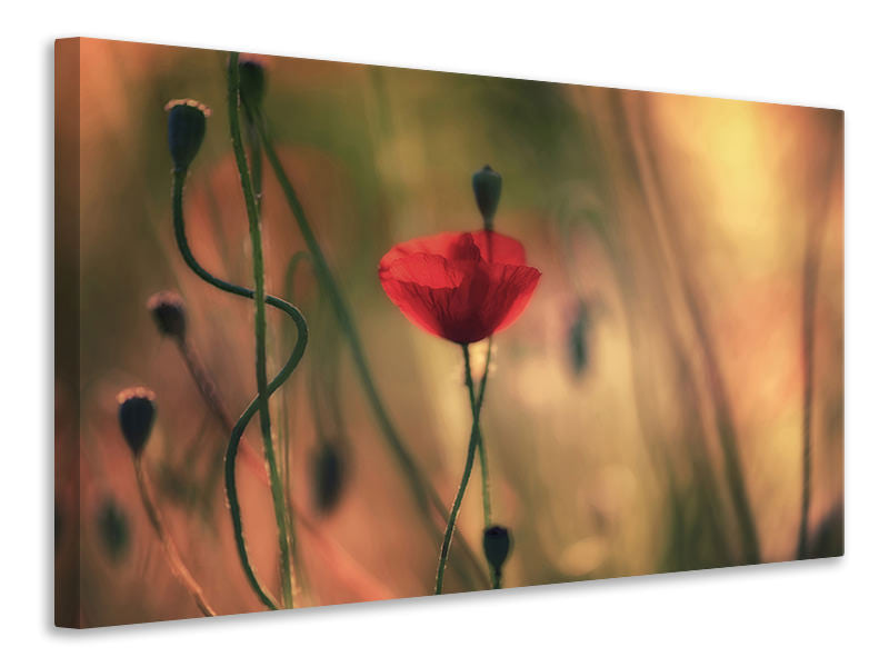 panoramic-3-piece-canvas-print-untitled-xxviii