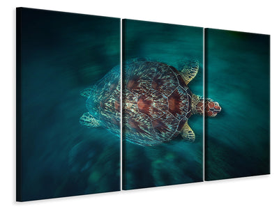 4-piece-canvas-print-valocity-turtle