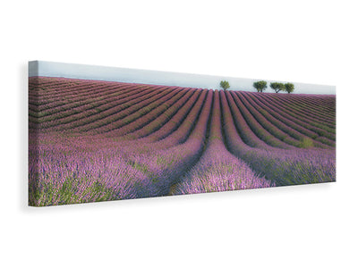 modern-4-piece-canvas-print-velours-de-lavender
