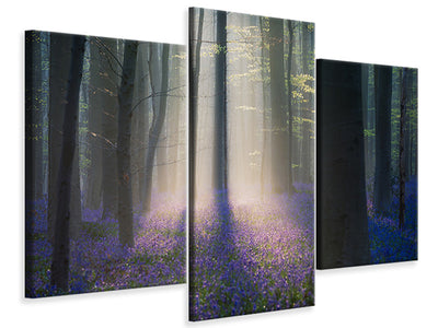 4-piece-canvas-print-velvet-light