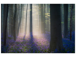 panoramic-canvas-print-velvet-light
